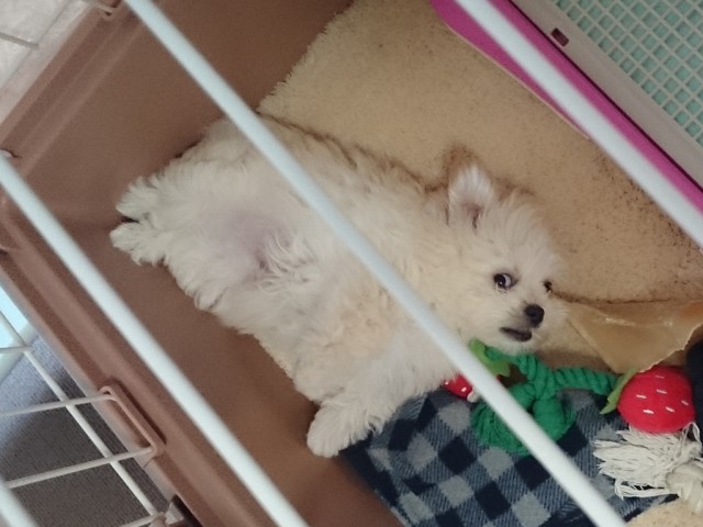 どこ見てんのよ！