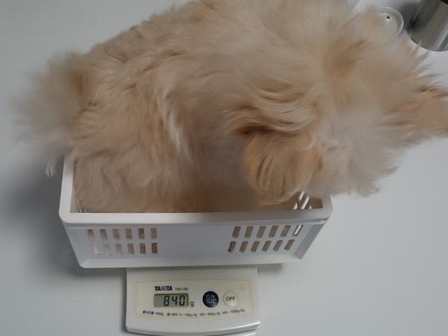 体重測定 生後73日