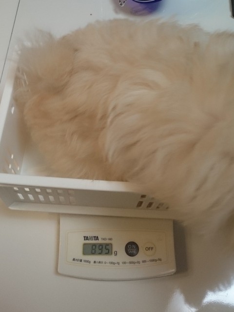 体重測定 生後77日