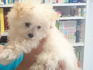 2015-05-31 07.14.01-3