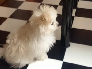 リードの練習中