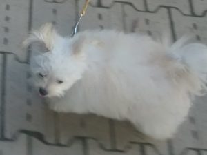 walking2015-06-26-01