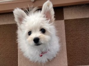 天日干し、はじめました