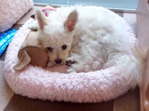 天日干し完成？