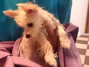 体重測定 生後145日