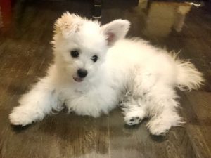 体重測定 生後154日