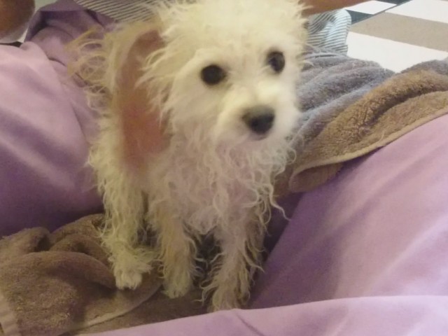 汚れたので入浴