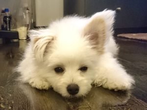 生後6か月ちょうど