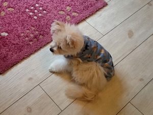 初めてのお洋服