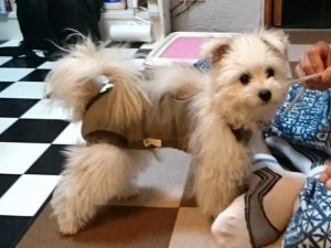 抜糸&歯磨き指導