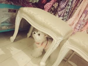 プチヘブンさん