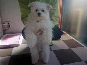 やっと止まった？