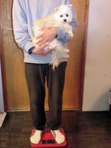 体重測定～ダイエット