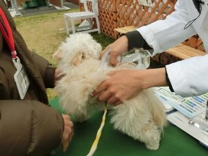 anico parkで体脂肪測定