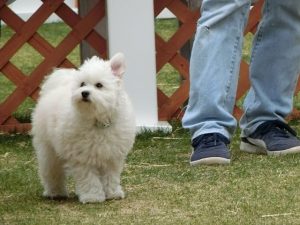 anico parkでお耳チェック