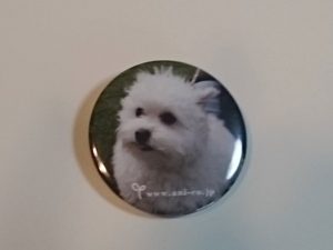 crin-anicopark20160306-3