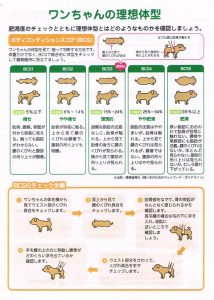 くりん体脂肪測定_裏