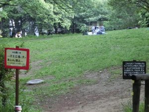 蚕糸の森公園の芝生