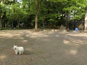 蚕糸の森公園_くりん02