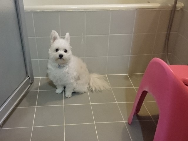 雷怖い～風呂場にGO！