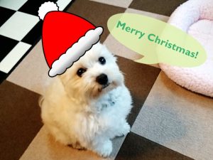 メリークリスマス！byくりん