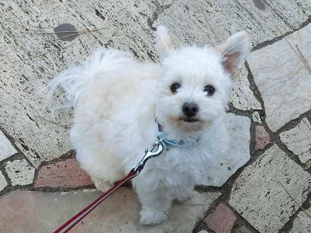 うんちちゃーんす！